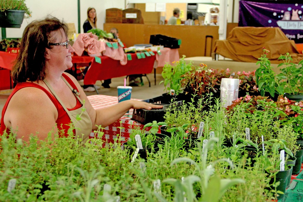 PHOTO BY CAITLYN MINTON Vendors who sell at the Norman Farm Market cultivate and harvest locally grown plants, vegetables and other homemade goods. Many of the vendors sell at several farmer's markets every day of the week.