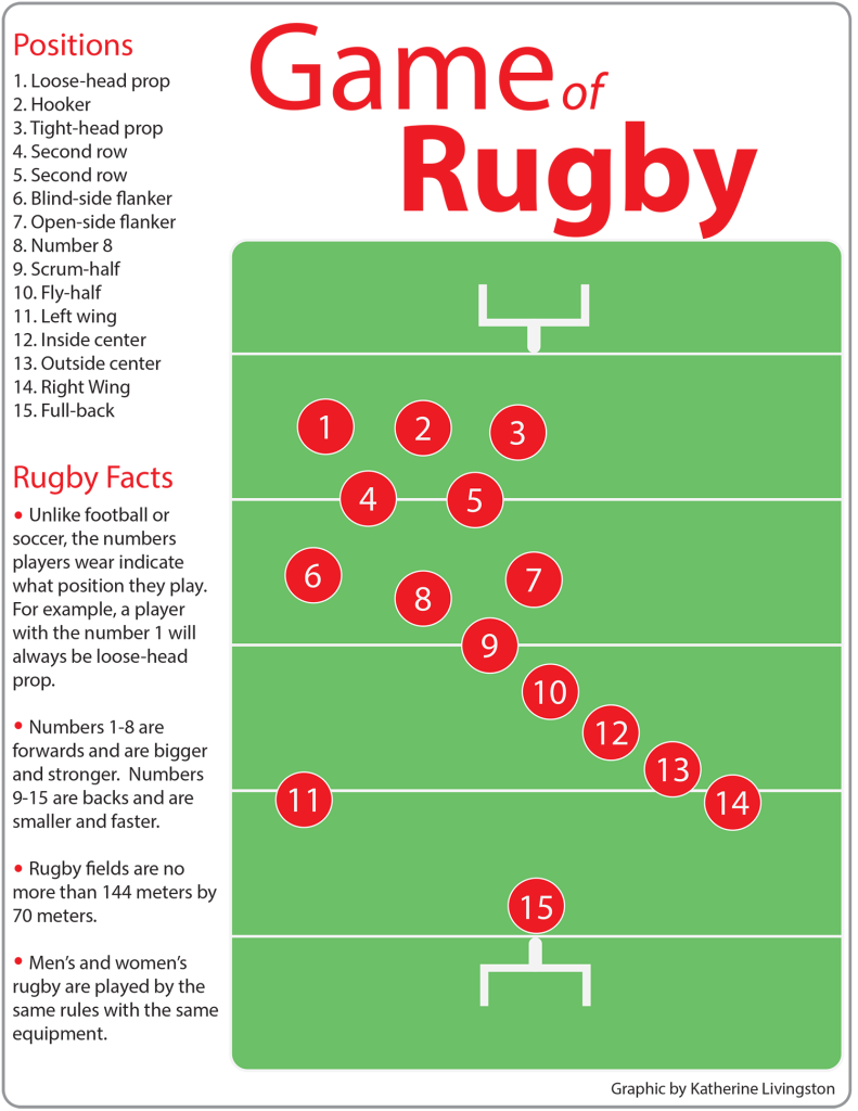Rugby info graphic 2